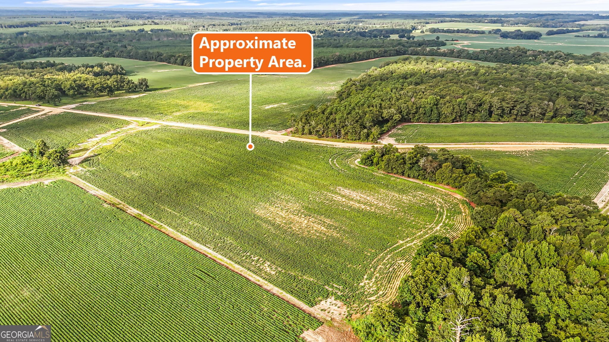 agriculture for sale at 0 Long Road, Vienna, GA 31092 — photo 5