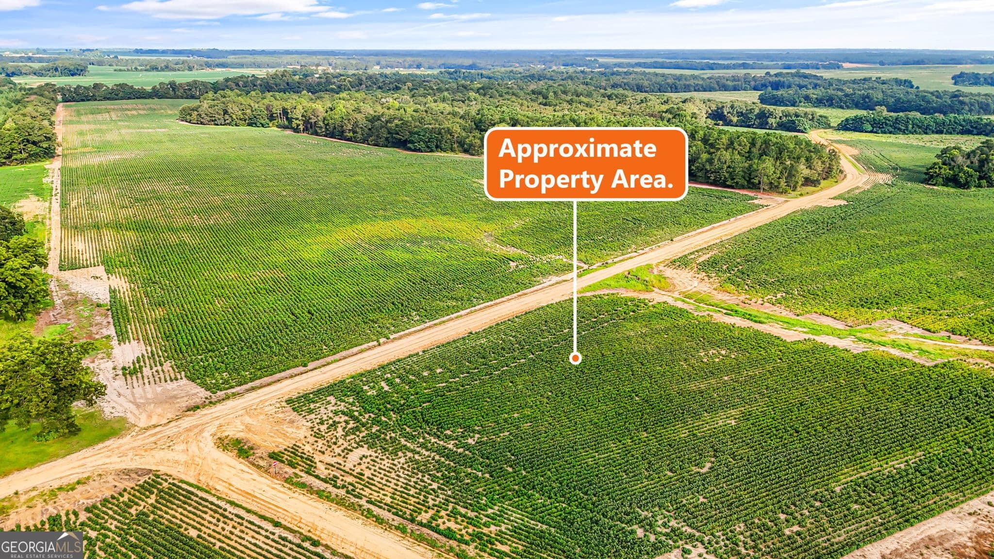 agriculture for sale at 0 Long Road, Vienna, GA 31092 — photo 9