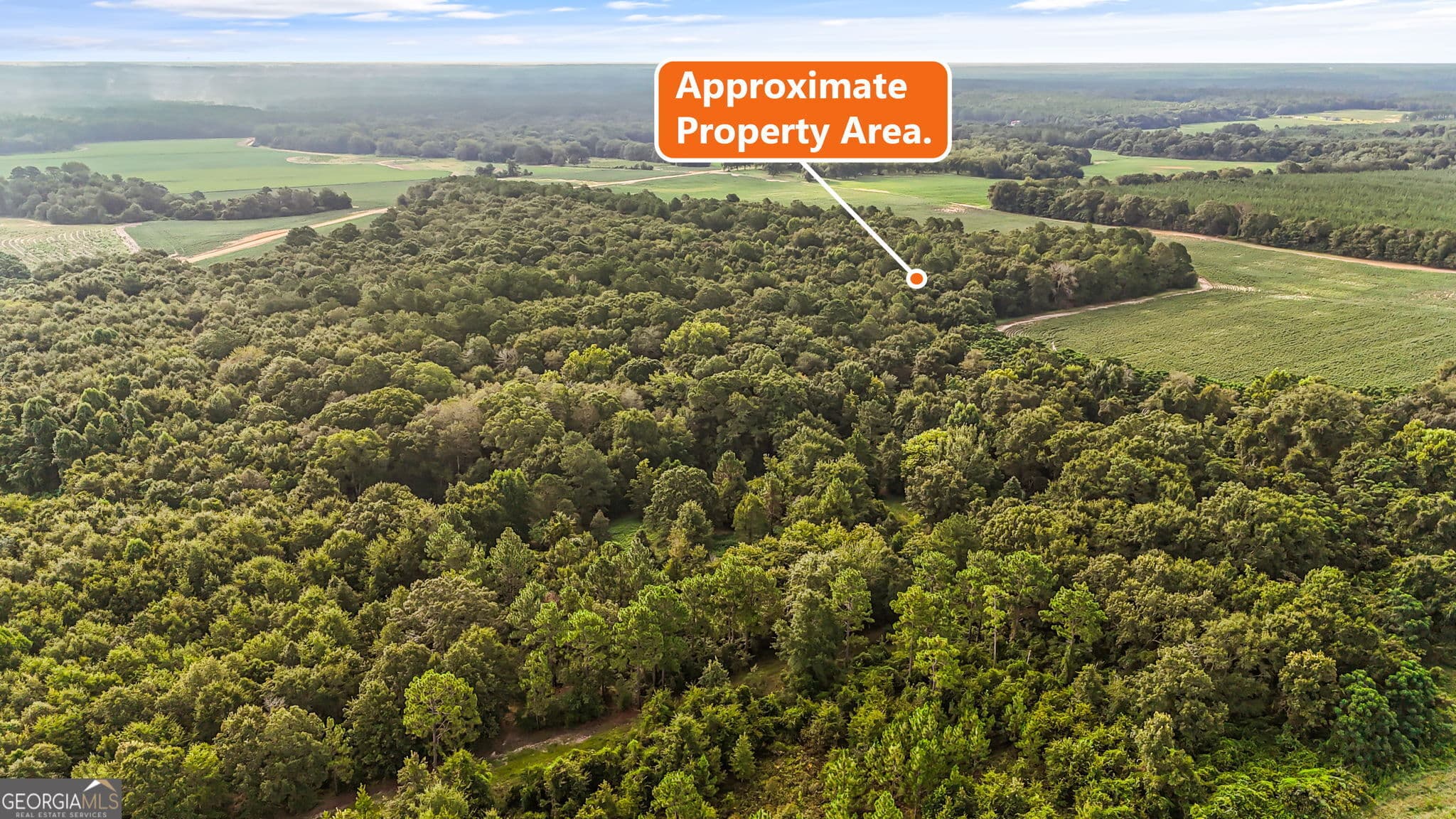 agriculture for sale at 0 Long Road, Vienna, GA 31092 — photo 10