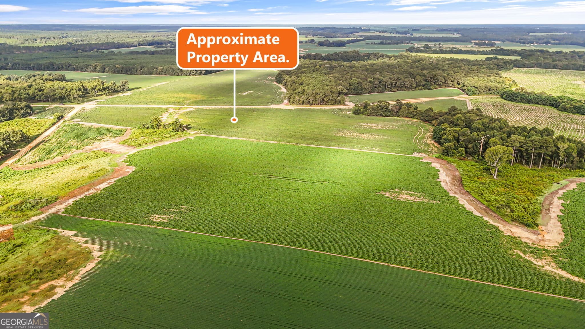 agriculture for sale at 0 Long Road, Vienna, GA 31092 — photo 4