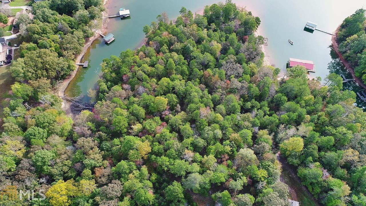 residential lot for sale at 0 Seraph Pointe Road 1, Lavonia, GA 30553 — photo 2