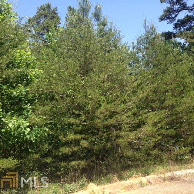 residential lot for sale at 0 Seraph Pointe Road 1, Lavonia, GA 30553 — photo 9