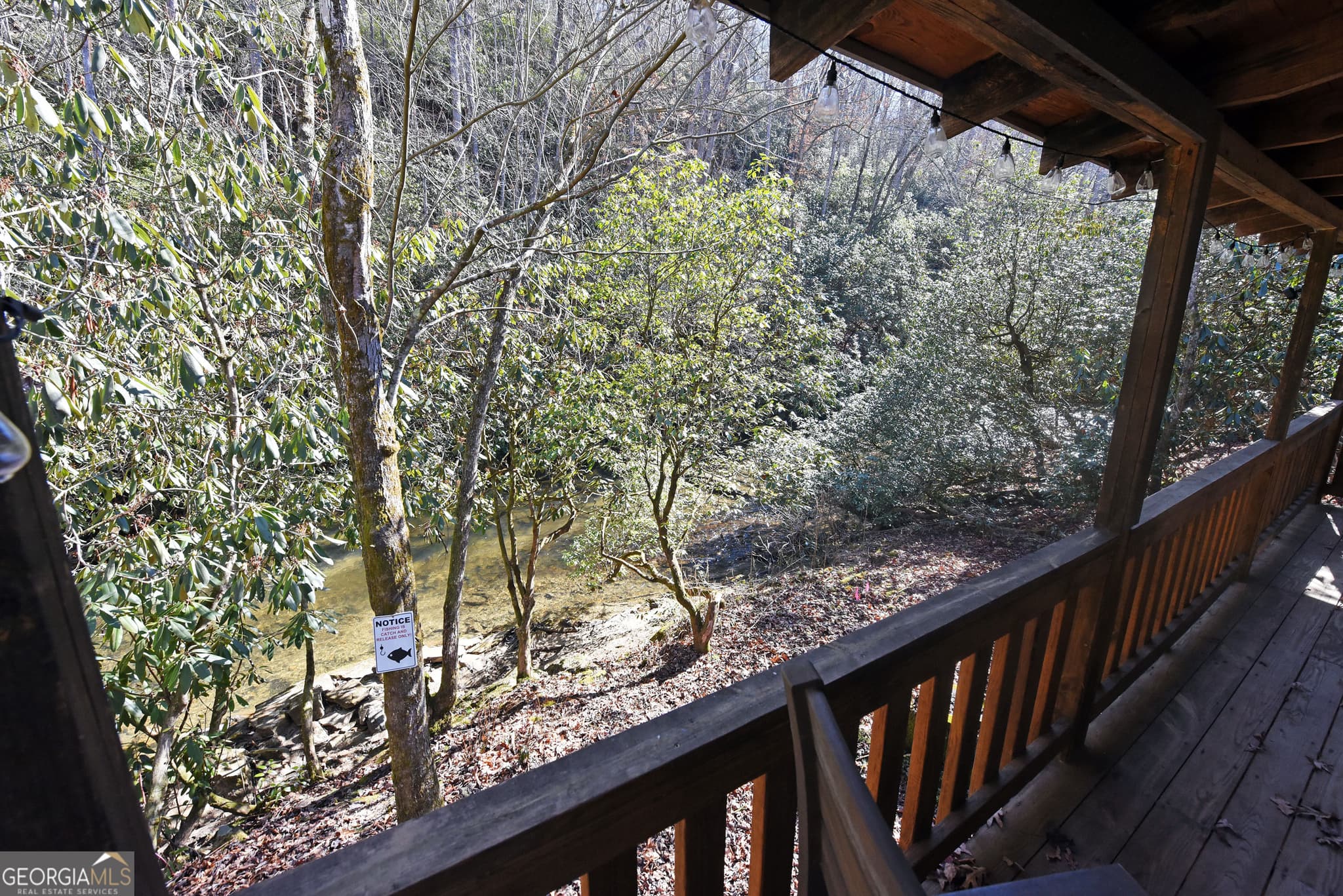 2 bedroom, 1 bathroom, 576 sq ft cabin,single family residence for sale at 150 Donna Lee Lane, Mineral Bluff, GA 30559 — photo 8