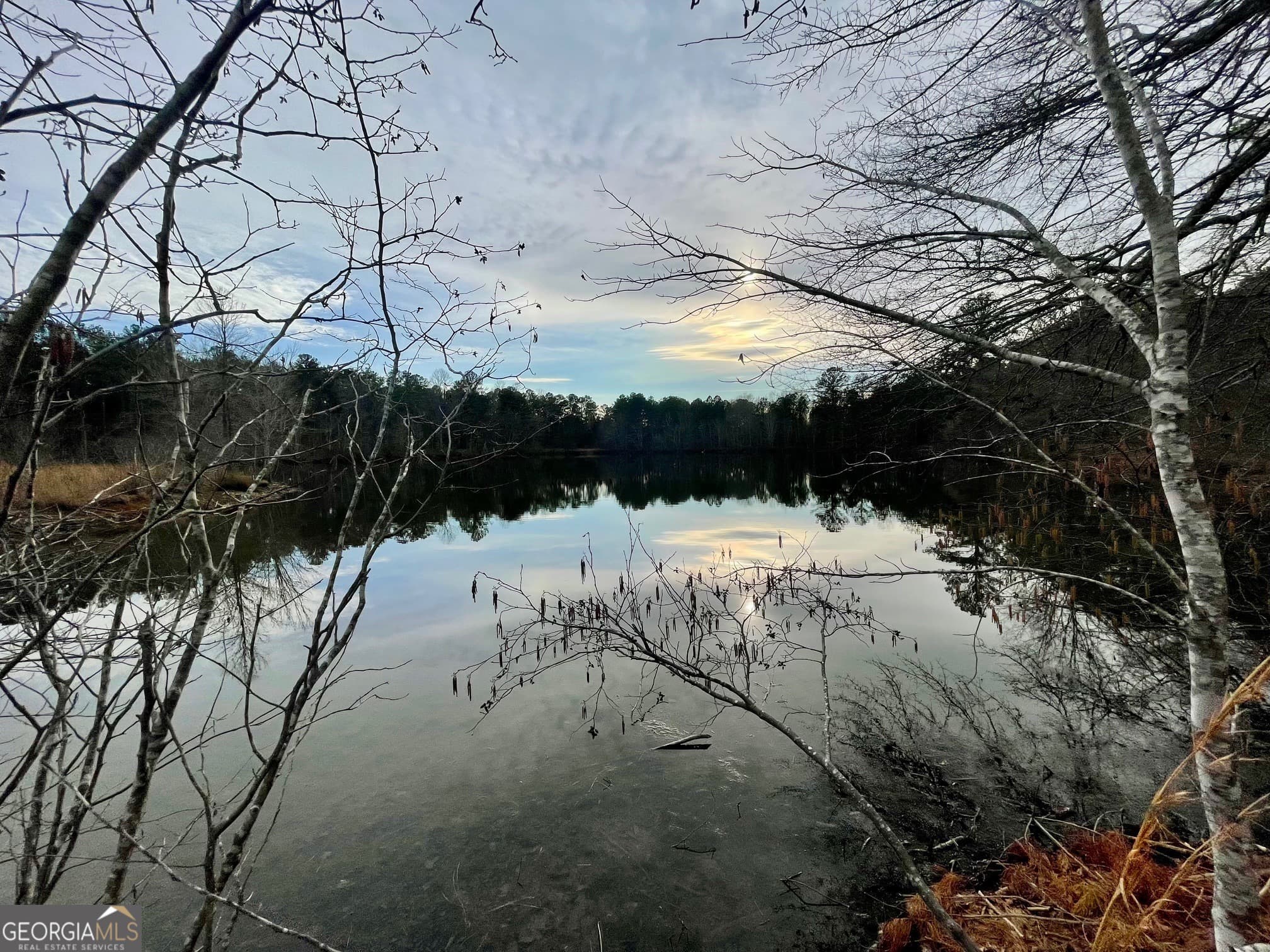 residential lot for sale at 0 Padgett Road LOT 11, Senoia, GA 30276 — photo 2