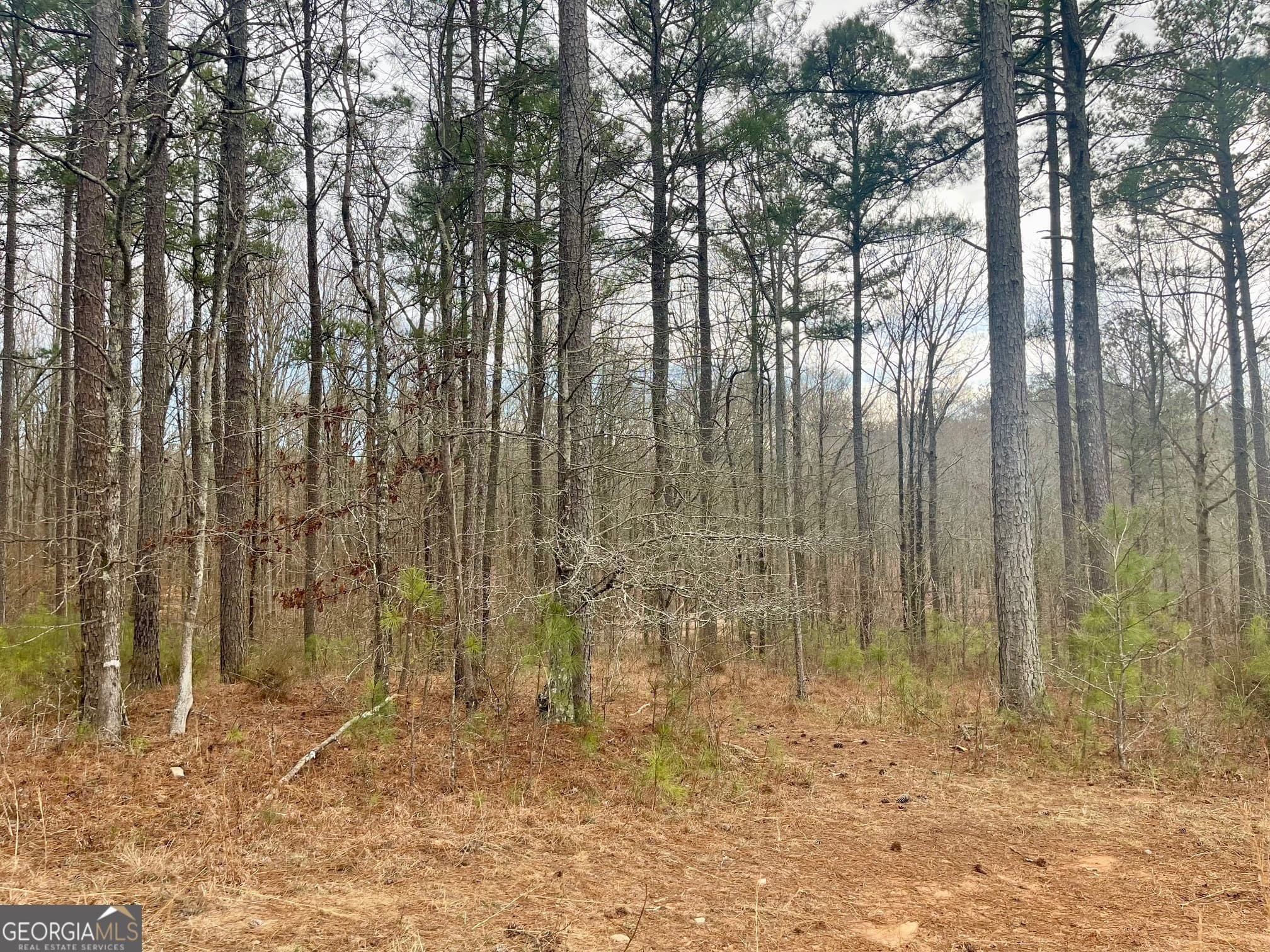 residential lot for sale at 0 Padgett Road LOT 11, Senoia, GA 30276 — photo 6