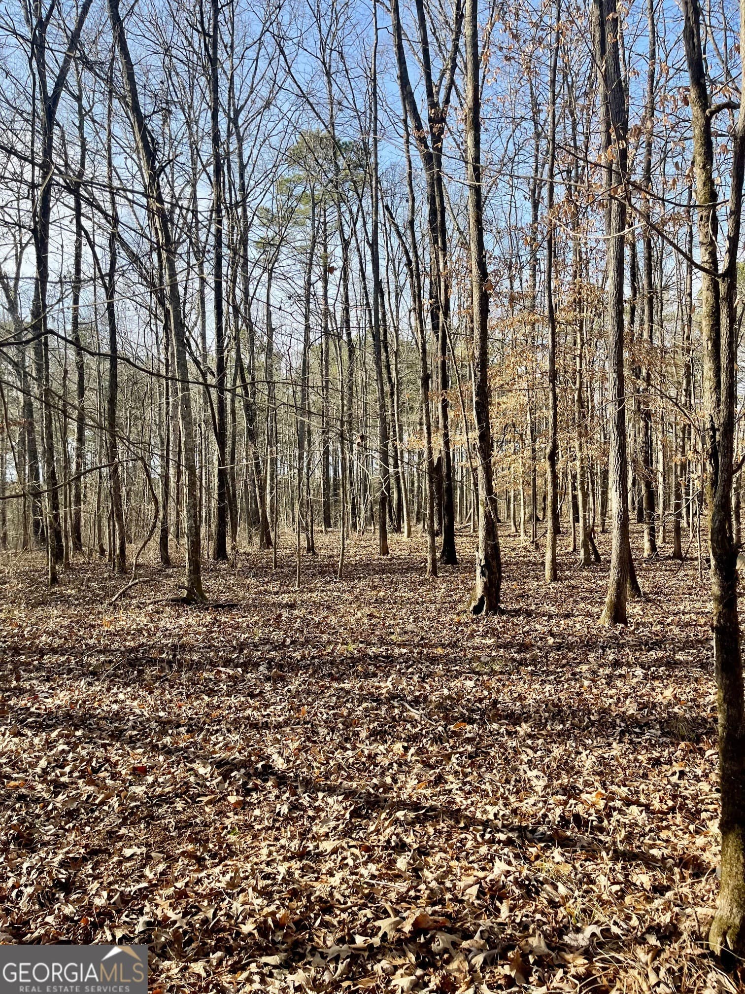 residential lot for sale at 0 Padgett Road LOT 11, Senoia, GA 30276 — photo 7