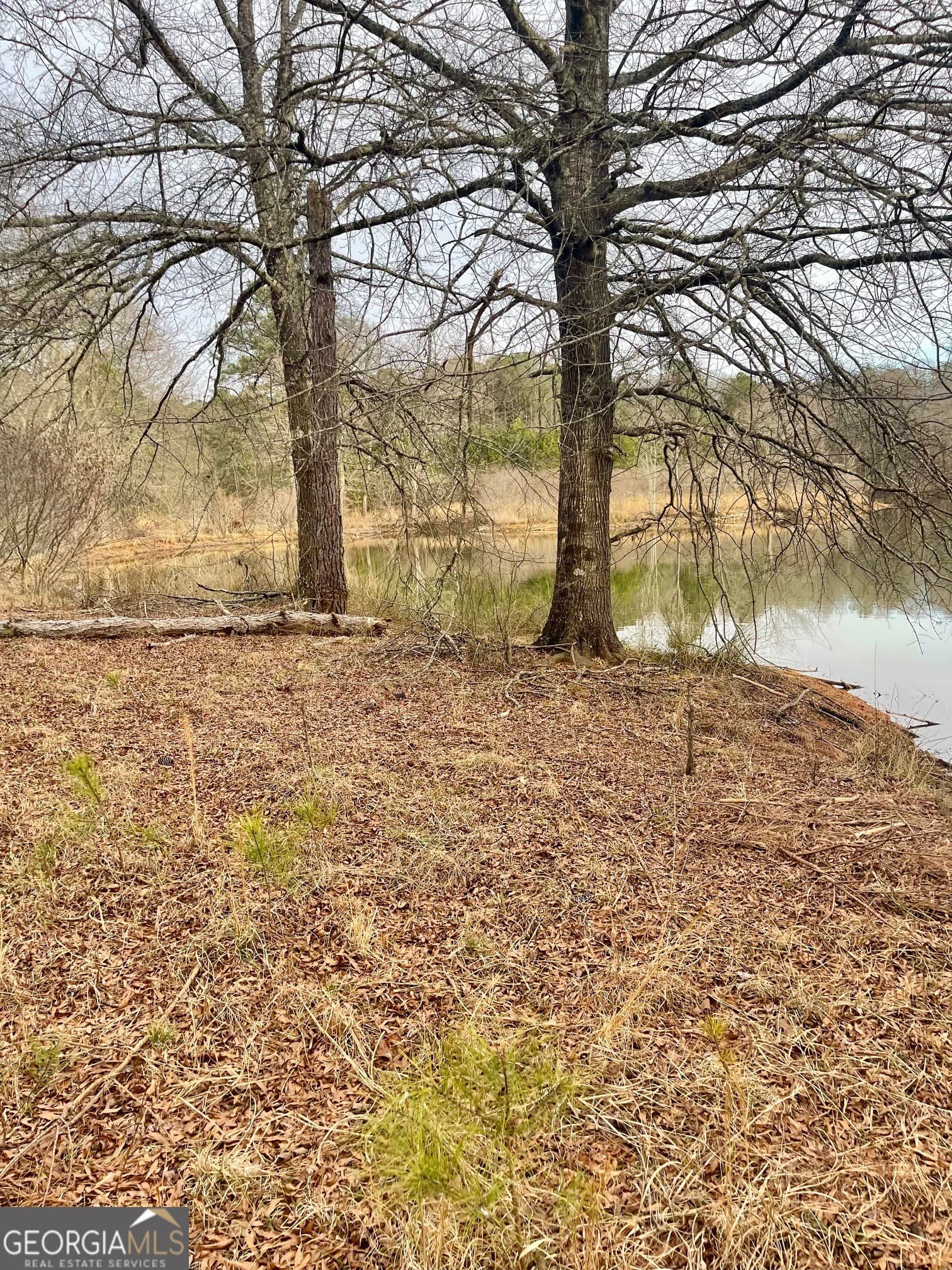 residential lot for sale at 0 Padgett Road LOT 11, Senoia, GA 30276 — photo 3