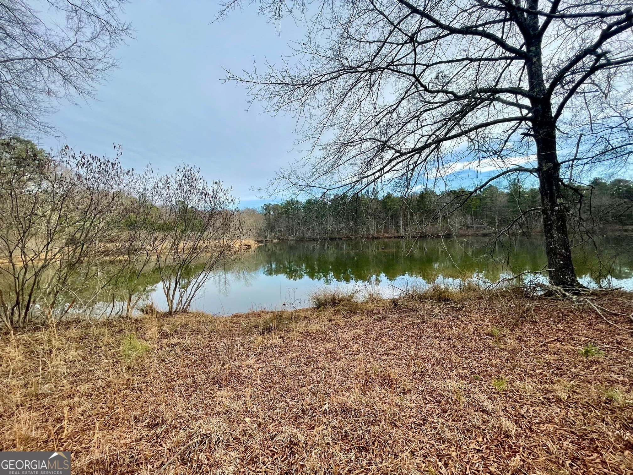 residential lot for sale at 0 Padgett Road LOT 11, Senoia, GA 30276 — photo 5