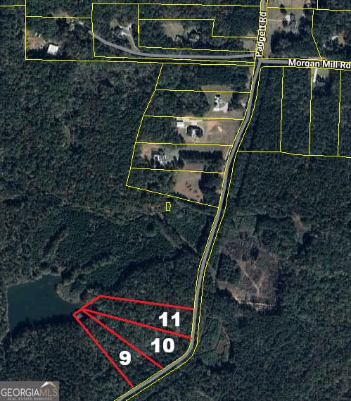 residential lot for sale at 0 Padgett Road LOT 11, Senoia, GA 30276 — photo 9