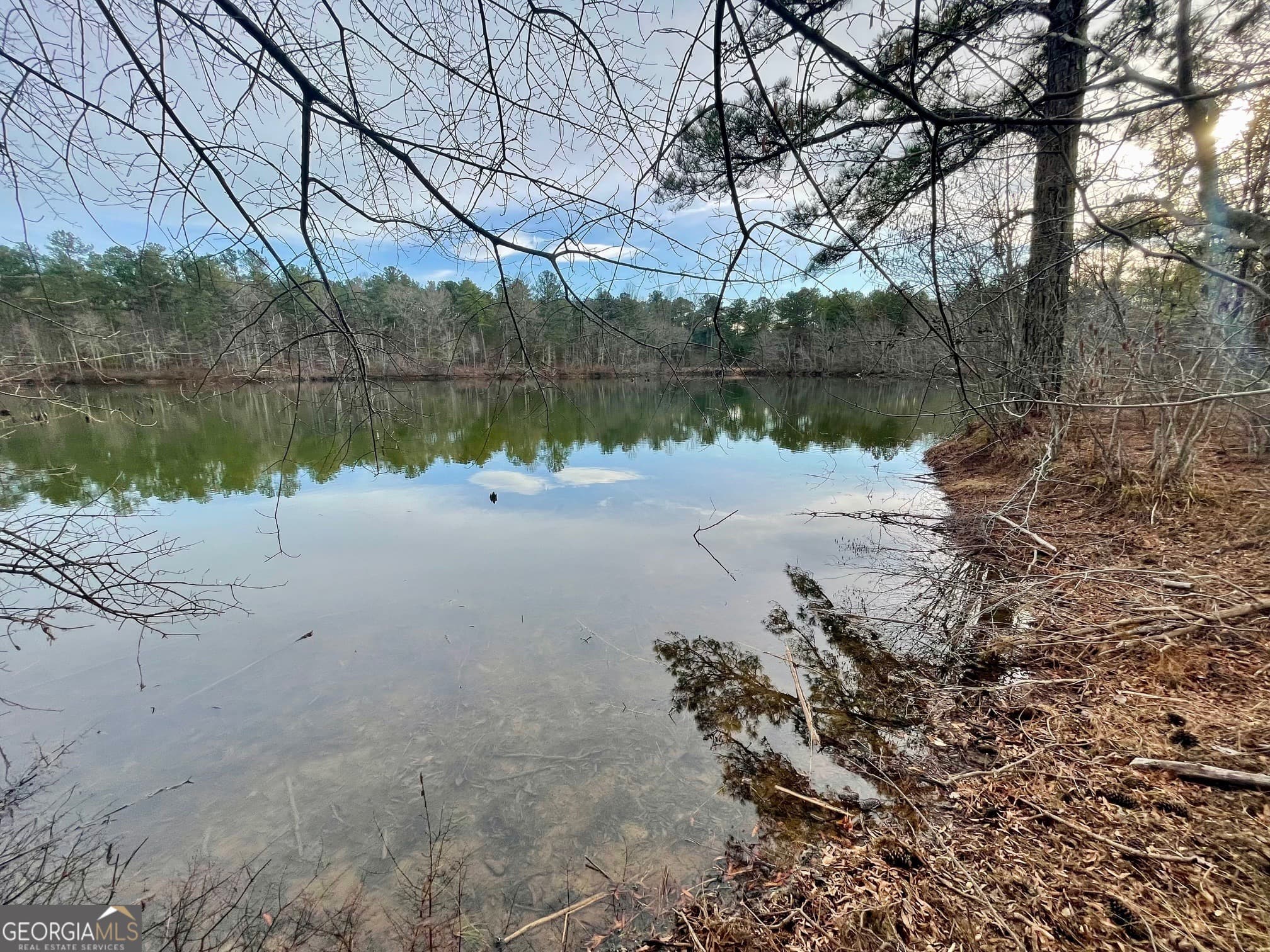 residential lot for sale at 0 Padgett Road LOT 11, Senoia, GA 30276 — photo 4