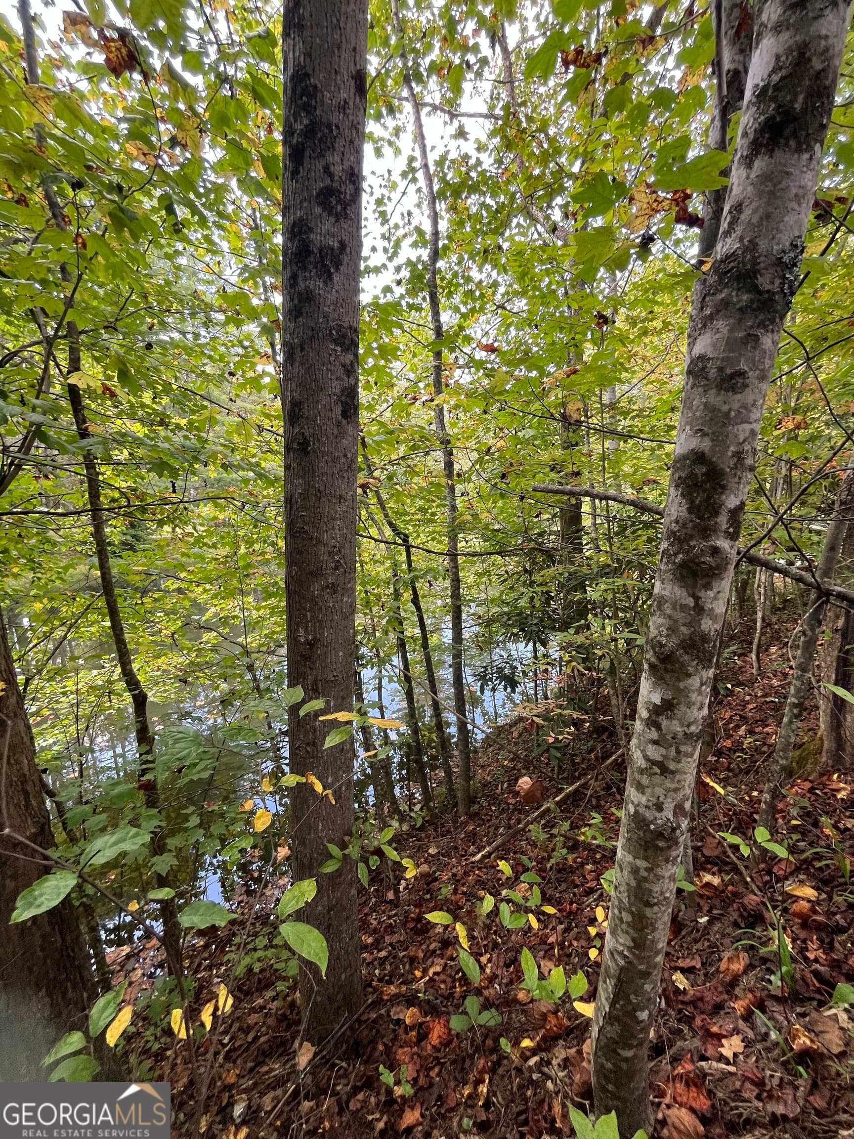 2 bedroom, 1 bathroom mobile home for sale at 68 Nelson Lane, Hiawassee, GA 30546 — photo 9