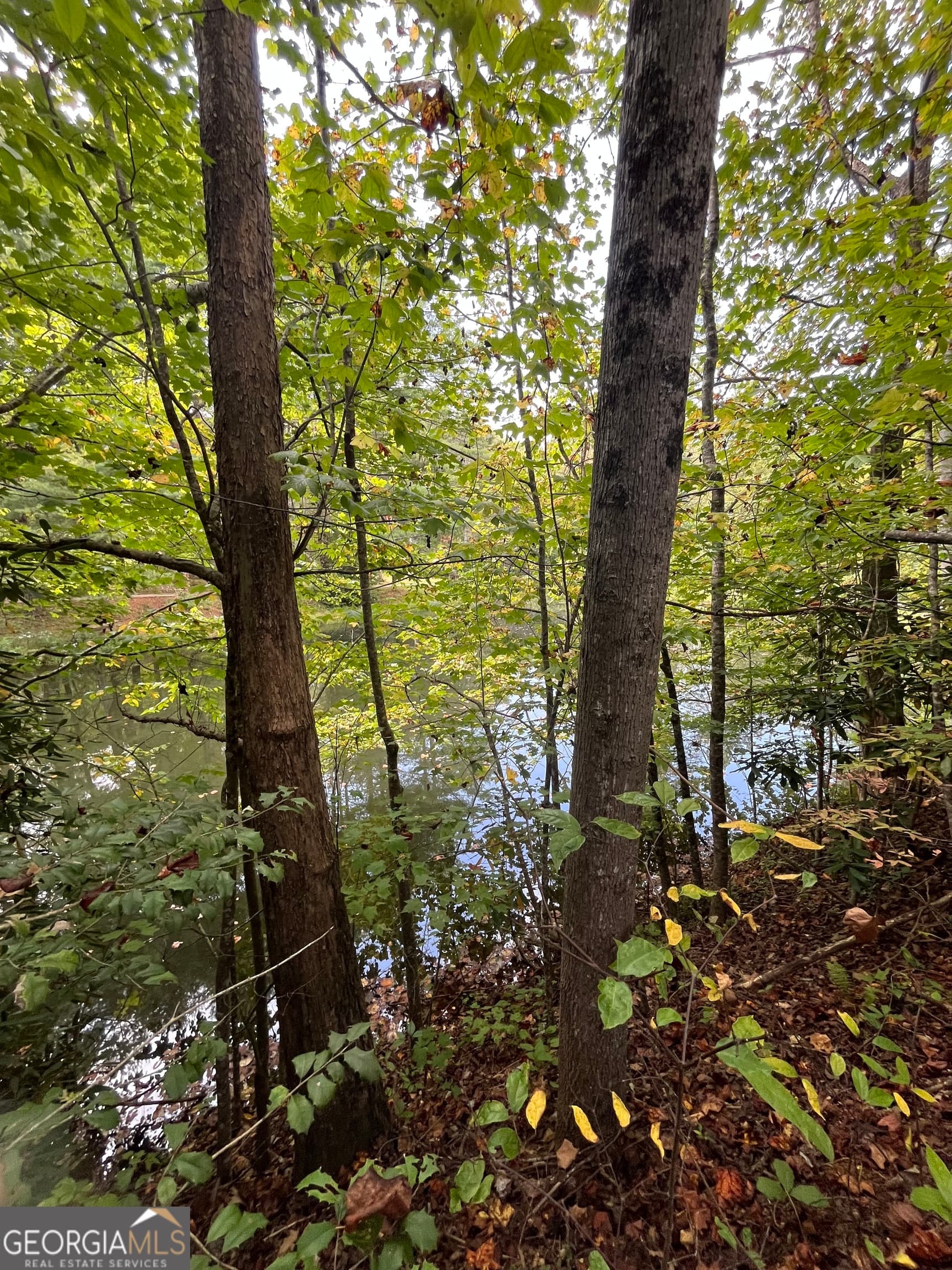 2 bedroom, 1 bathroom mobile home for sale at 68 Nelson Lane, Hiawassee, GA 30546 — photo 8