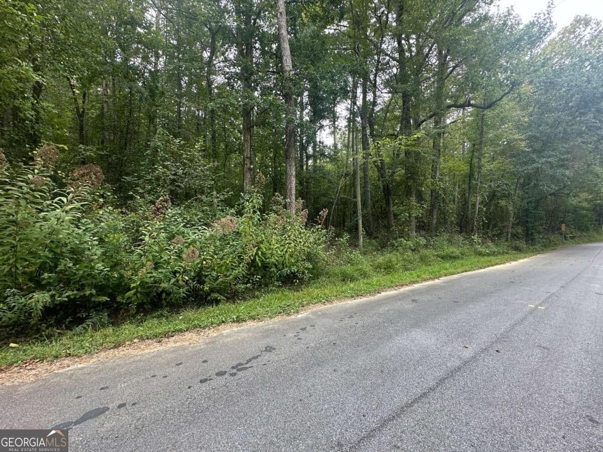 unimproved land for sale at 2240 Buchanan Highway, Dallas, GA 30157 — photo 6