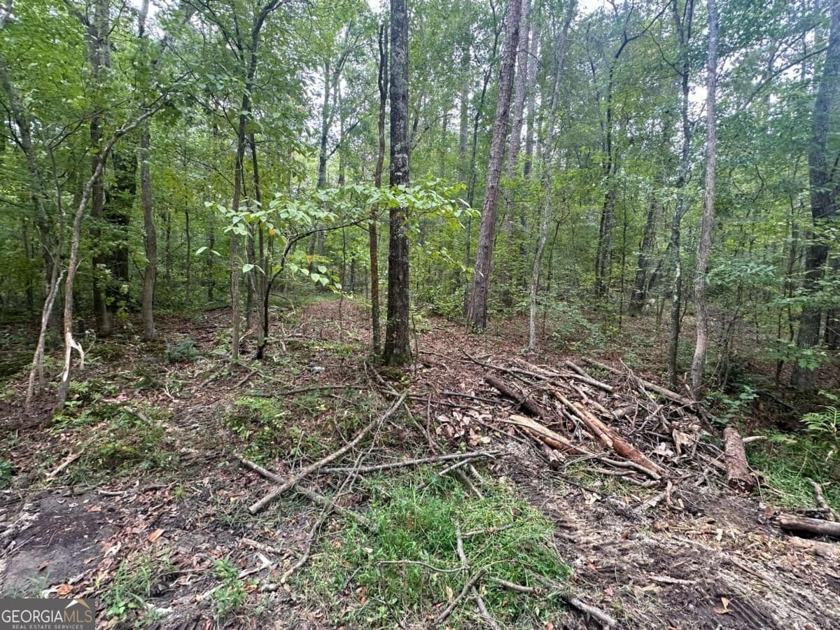 unimproved land for sale at 2240 Buchanan Highway, Dallas, GA 30157 — photo 7