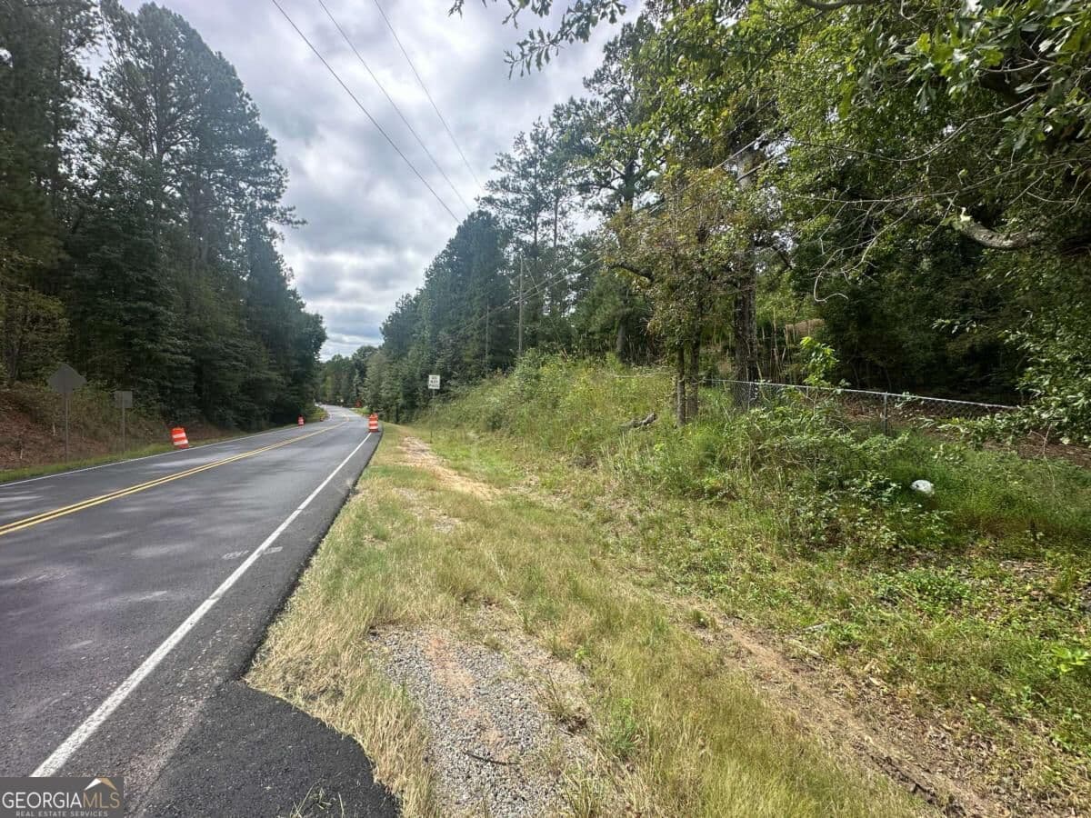 unimproved land for sale at 2240 Buchanan Highway, Dallas, GA 30157 — photo 5