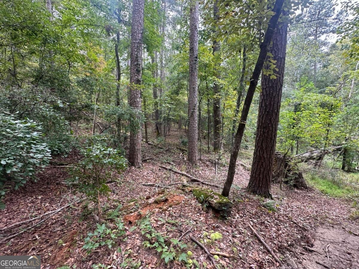 unimproved land for sale at 2240 Buchanan Highway, Dallas, GA 30157 — photo 9