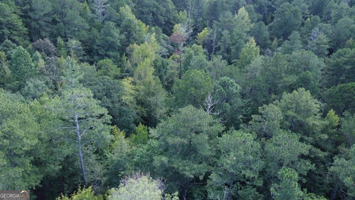unimproved land for sale at 2240 Buchanan Highway, Dallas, GA 30157 — photo 10