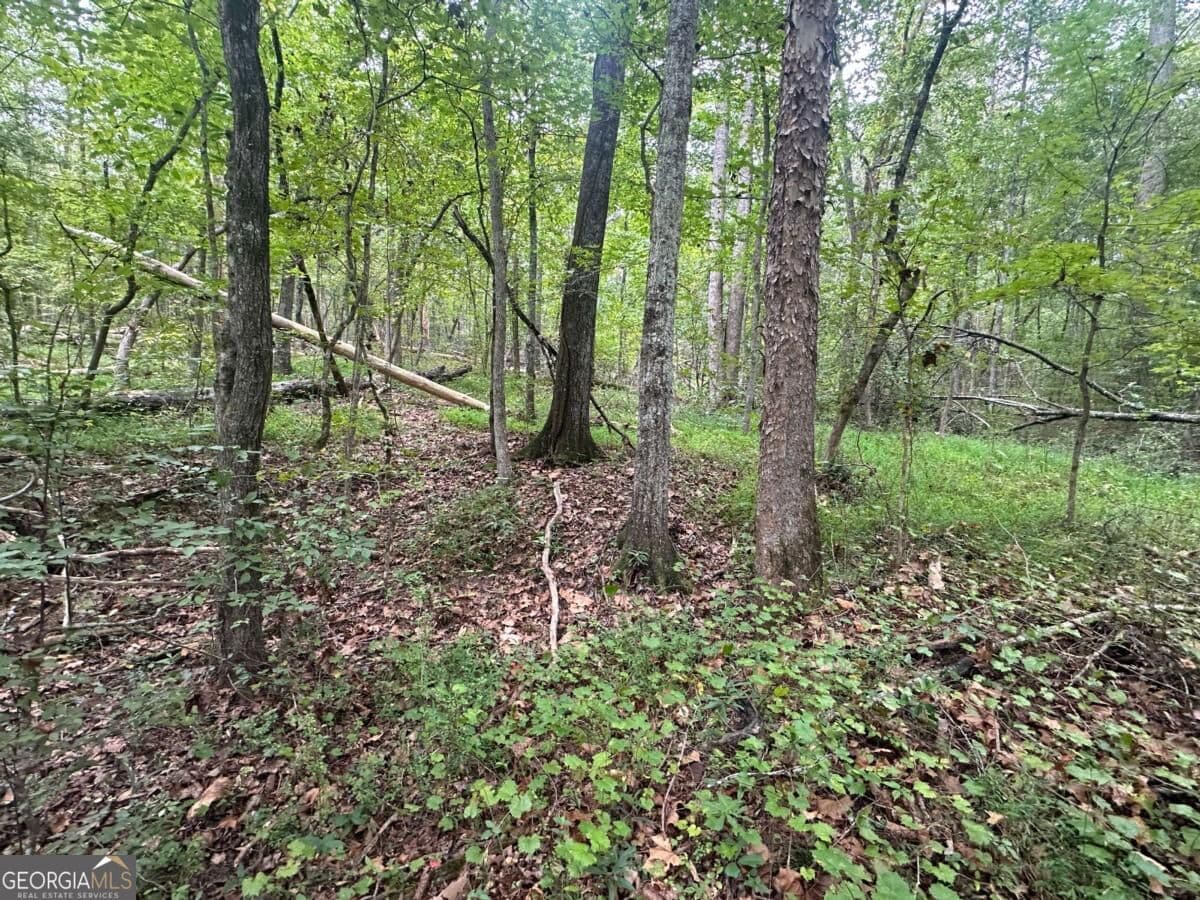 unimproved land for sale at 2240 Buchanan Highway, Dallas, GA 30157 — photo 8