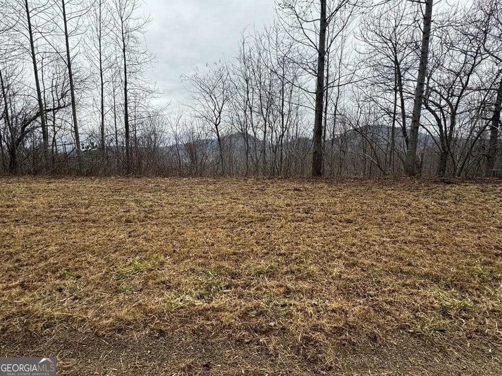 residential lot for sale at LOT 10 Chatuge Manor Drive, Young Harris, GA 30582 — photo 2