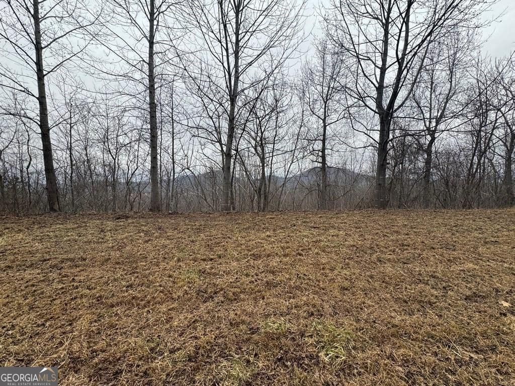 residential lot for sale at LOT 10 Chatuge Manor Drive, Young Harris, GA 30582 — photo 6