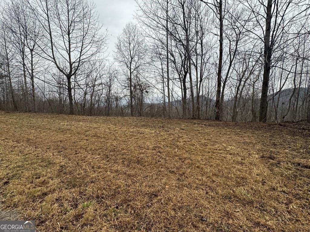 residential lot for sale at LOT 10 Chatuge Manor Drive, Young Harris, GA 30582 — photo 7