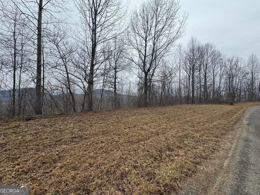 residential lot for sale at LOT 10 Chatuge Manor Drive, Young Harris, GA 30582 — photo 3