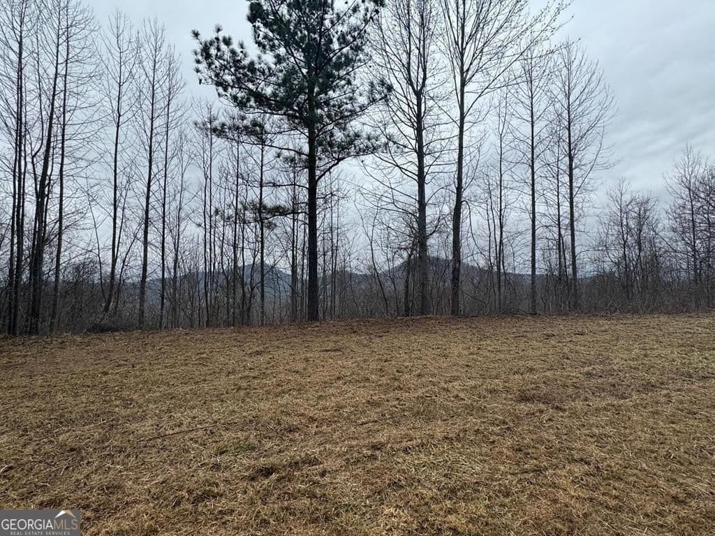 residential lot for sale at LOT 10 Chatuge Manor Drive, Young Harris, GA 30582 — photo 1 of 13