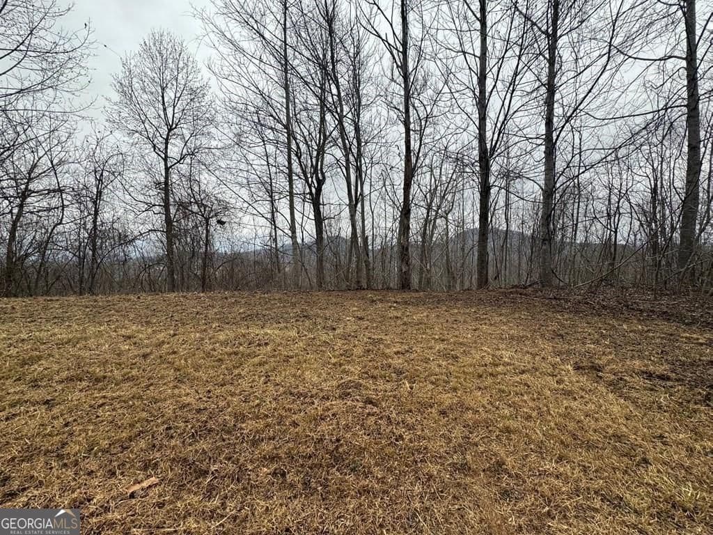 residential lot for sale at LOT 10 Chatuge Manor Drive, Young Harris, GA 30582 — photo 5