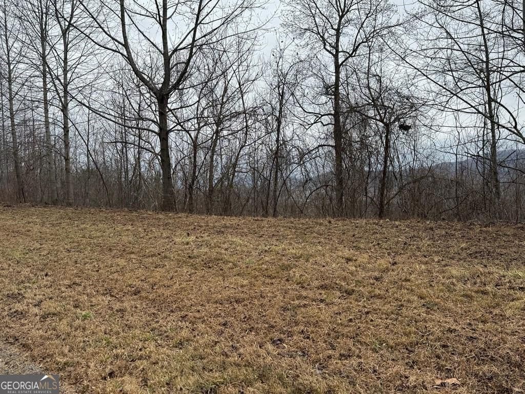 residential lot for sale at LOT 10 Chatuge Manor Drive, Young Harris, GA 30582 — photo 9