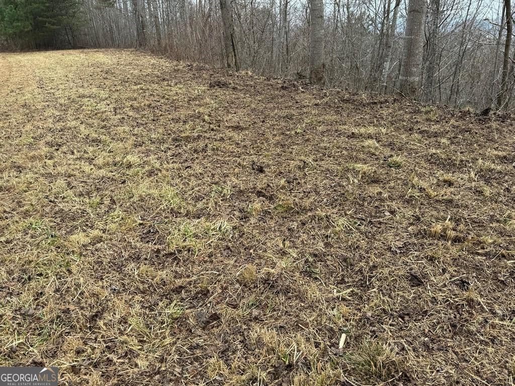 residential lot for sale at LOT 10 Chatuge Manor Drive, Young Harris, GA 30582 — photo 10