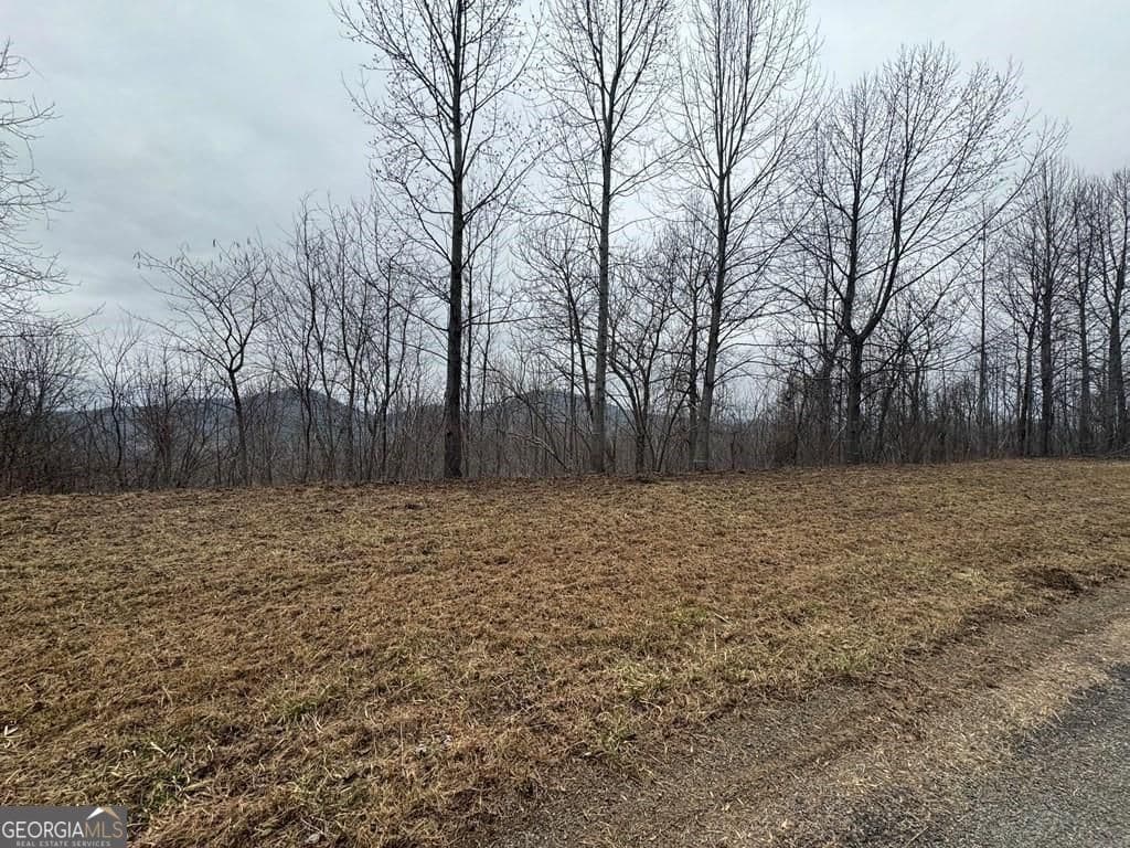 residential lot for sale at LOT 10 Chatuge Manor Drive, Young Harris, GA 30582 — photo 4