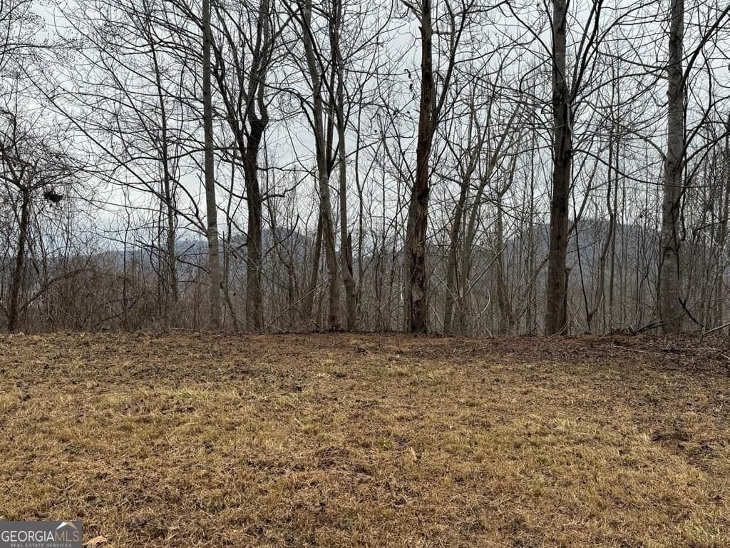 residential lot for sale at LOT 10 Chatuge Manor Drive, Young Harris, GA 30582 — photo 8