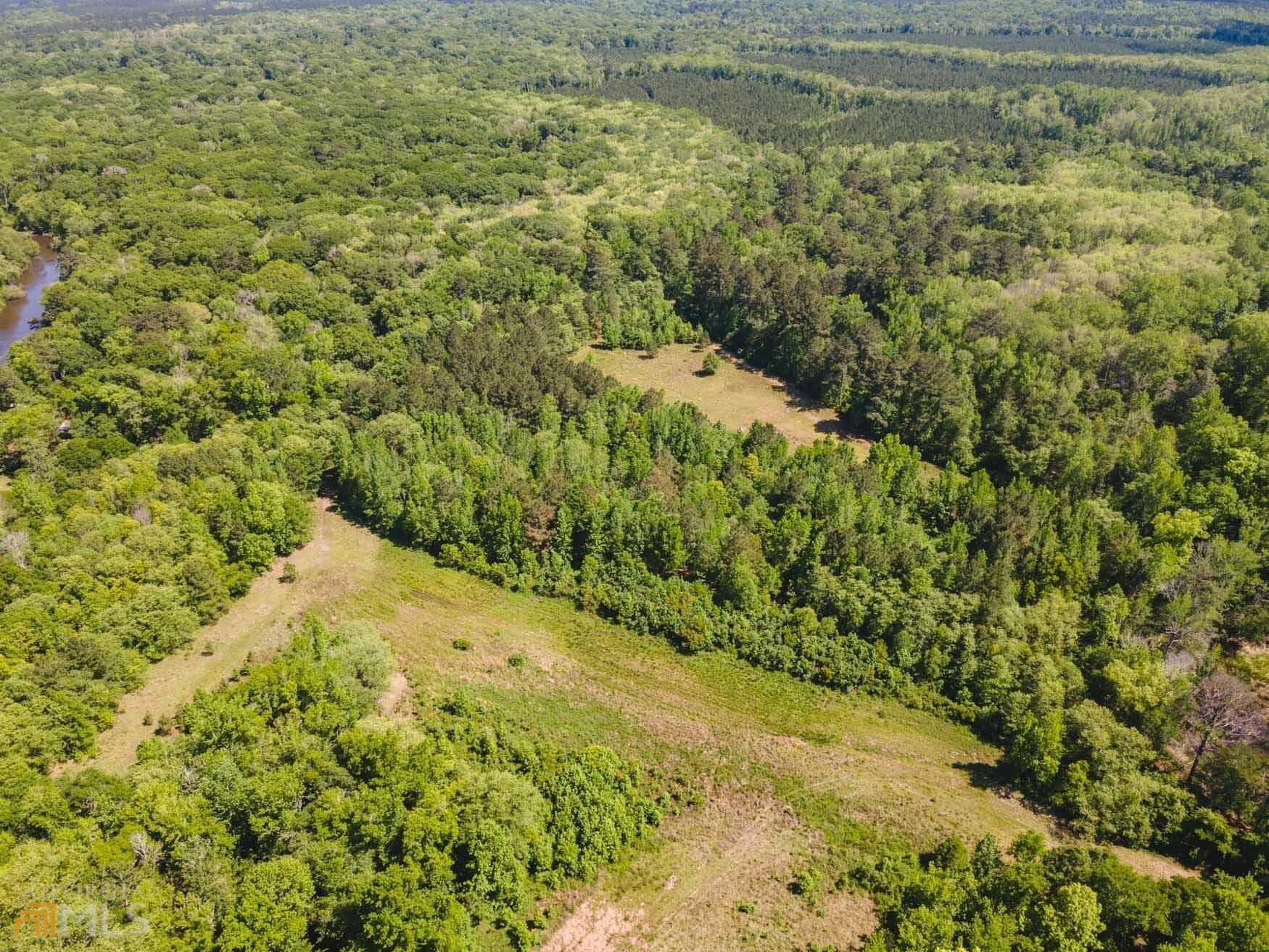 agriculture for sale at 0 Old River Road LOT 31, Brooklet, GA 30415 — photo 4