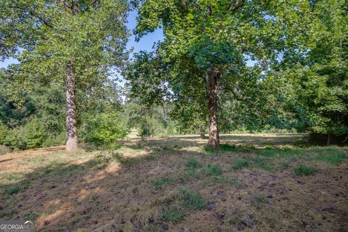 agriculture for sale at 0 Hendrix Road, Cumming, GA 30040 — photo 9