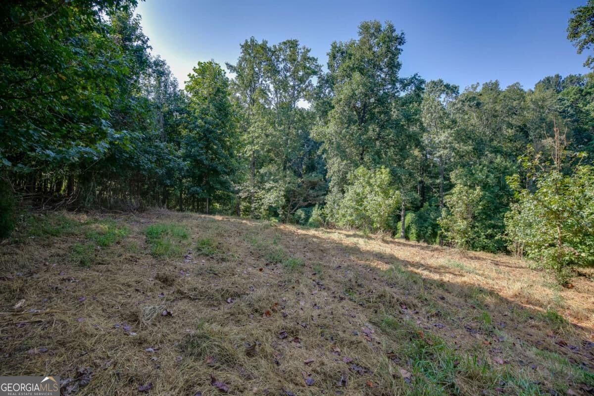 agriculture for sale at 0 Hendrix Road, Cumming, GA 30040 — photo 10