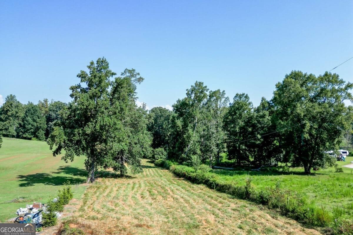 agriculture for sale at 0 Hendrix Road, Cumming, GA 30040 — photo 4