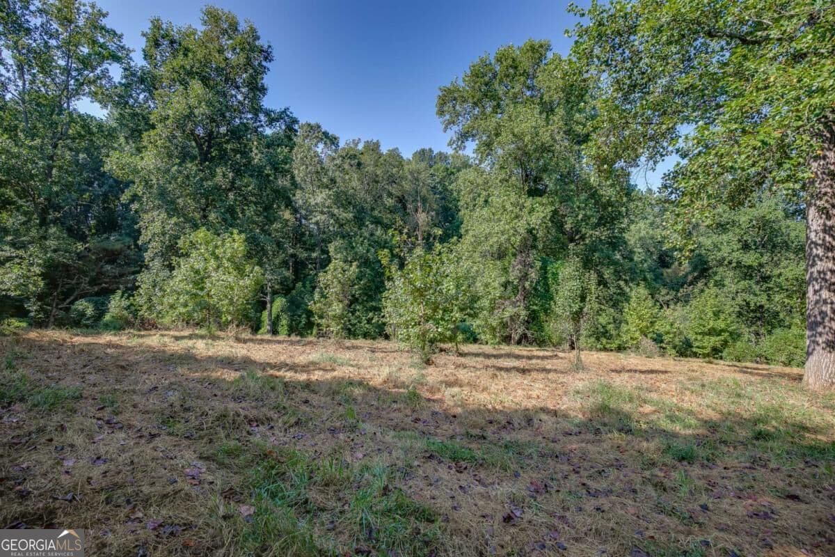 agriculture for sale at 0 Hendrix Road, Cumming, GA 30040 — photo 8