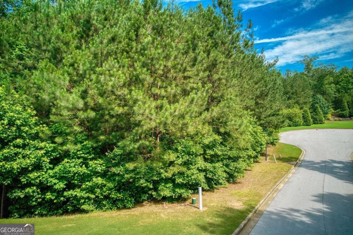 residential lot for sale at 287 Columbia Cove, Dallas, GA 30132 — photo 2