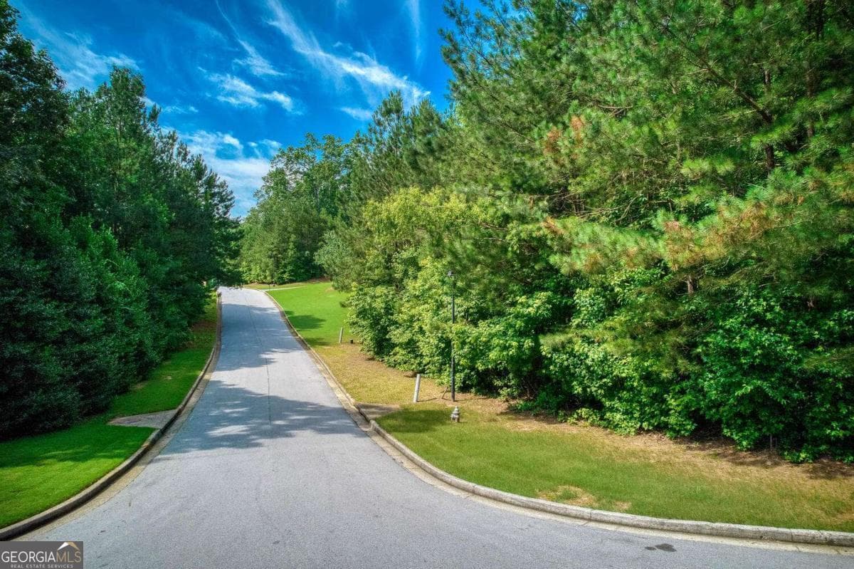 residential lot for sale at 287 Columbia Cove, Dallas, GA 30132 — photo 1 of 10