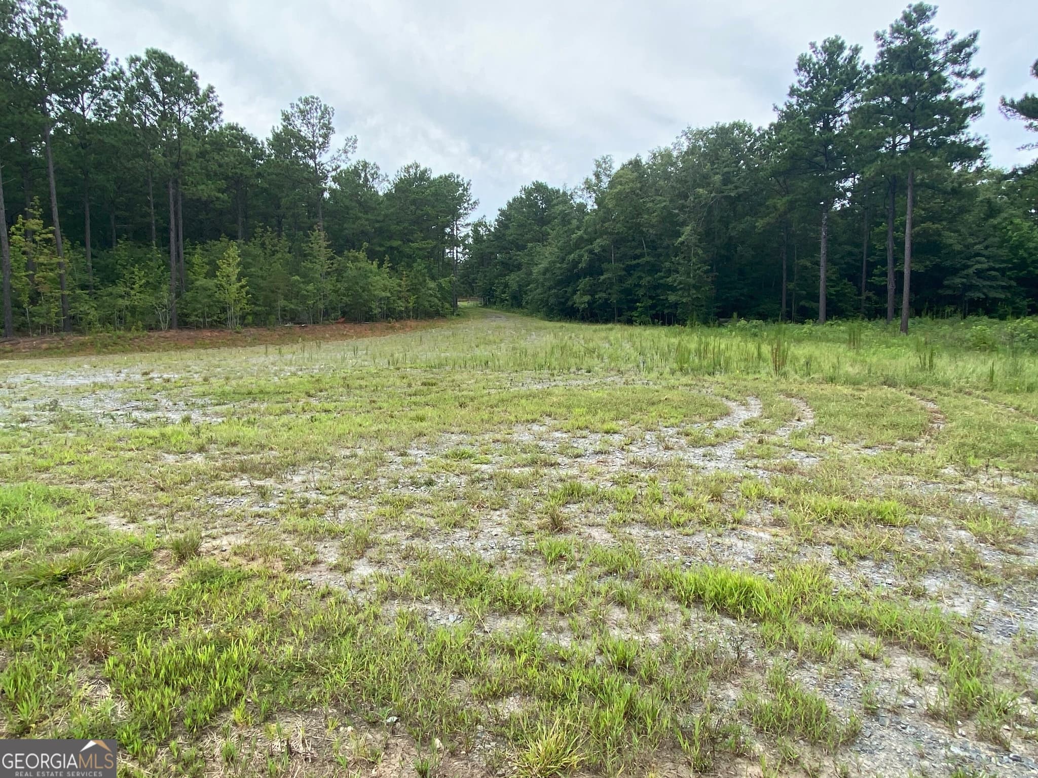 agriculture for sale at 126 Potts Pond Road, Barnesville, GA 30204 — photo 2