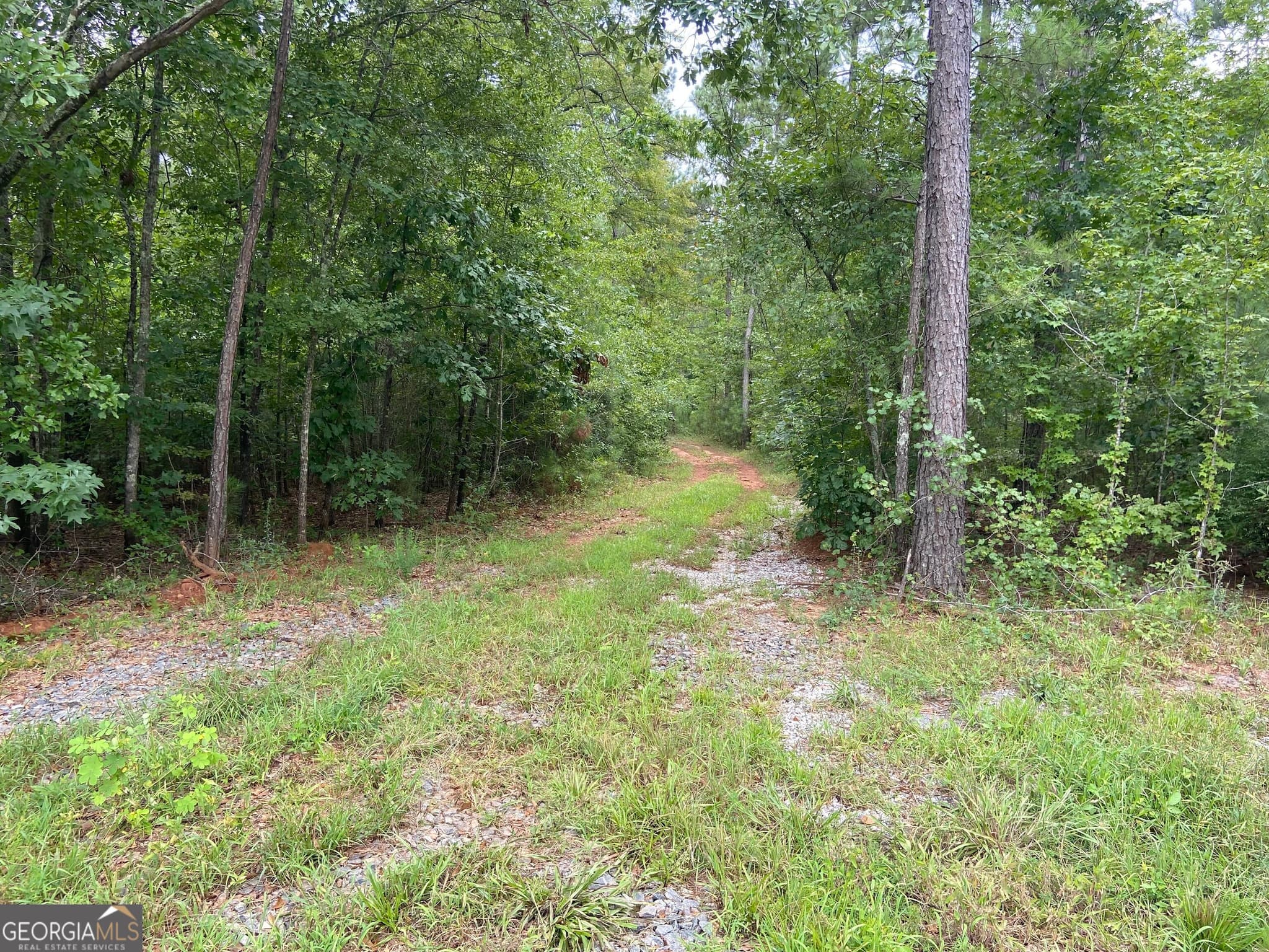 agriculture for sale at 126 Potts Pond Road, Barnesville, GA 30204 — photo 6