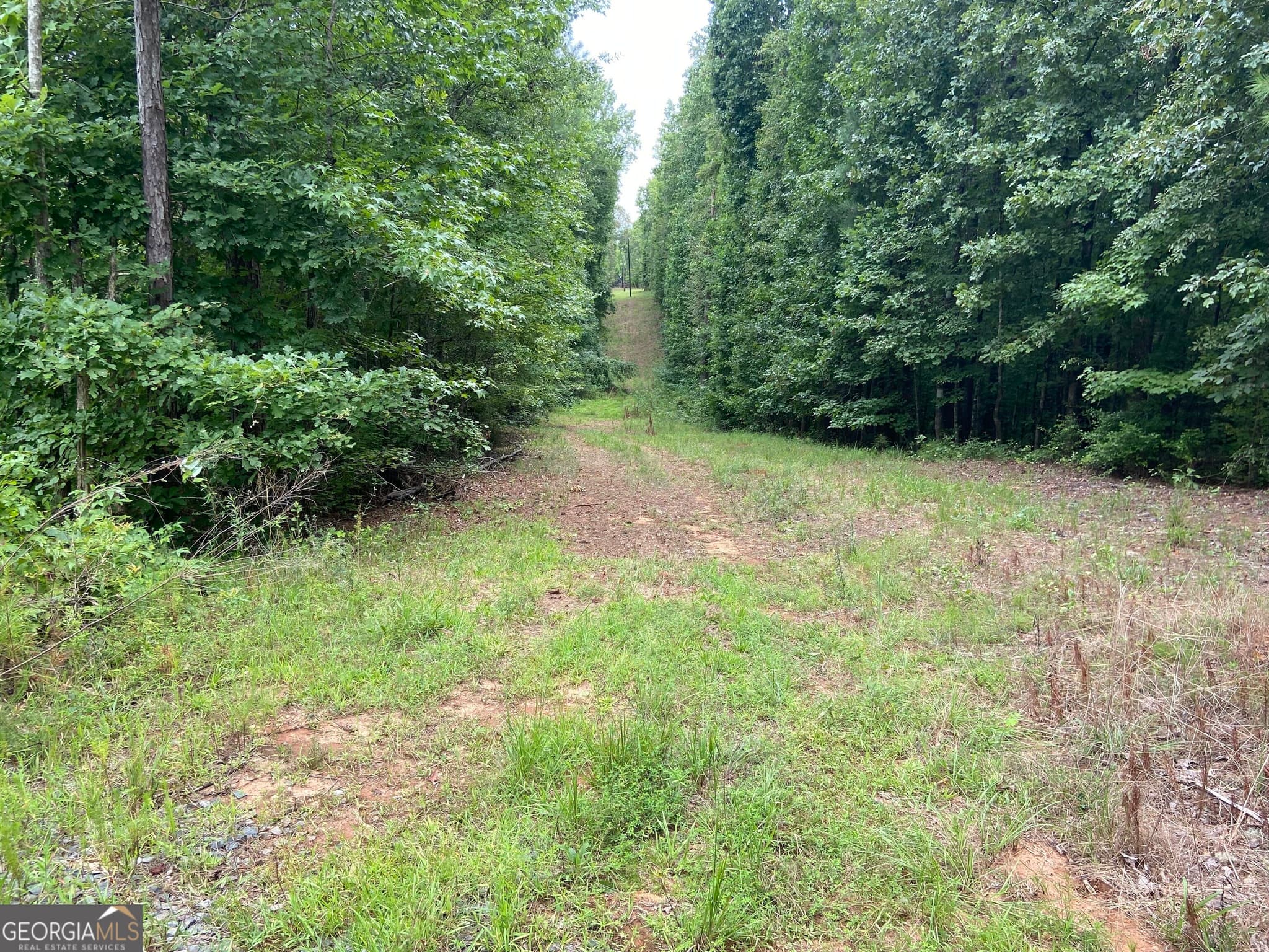 agriculture for sale at 126 Potts Pond Road, Barnesville, GA 30204 — photo 7