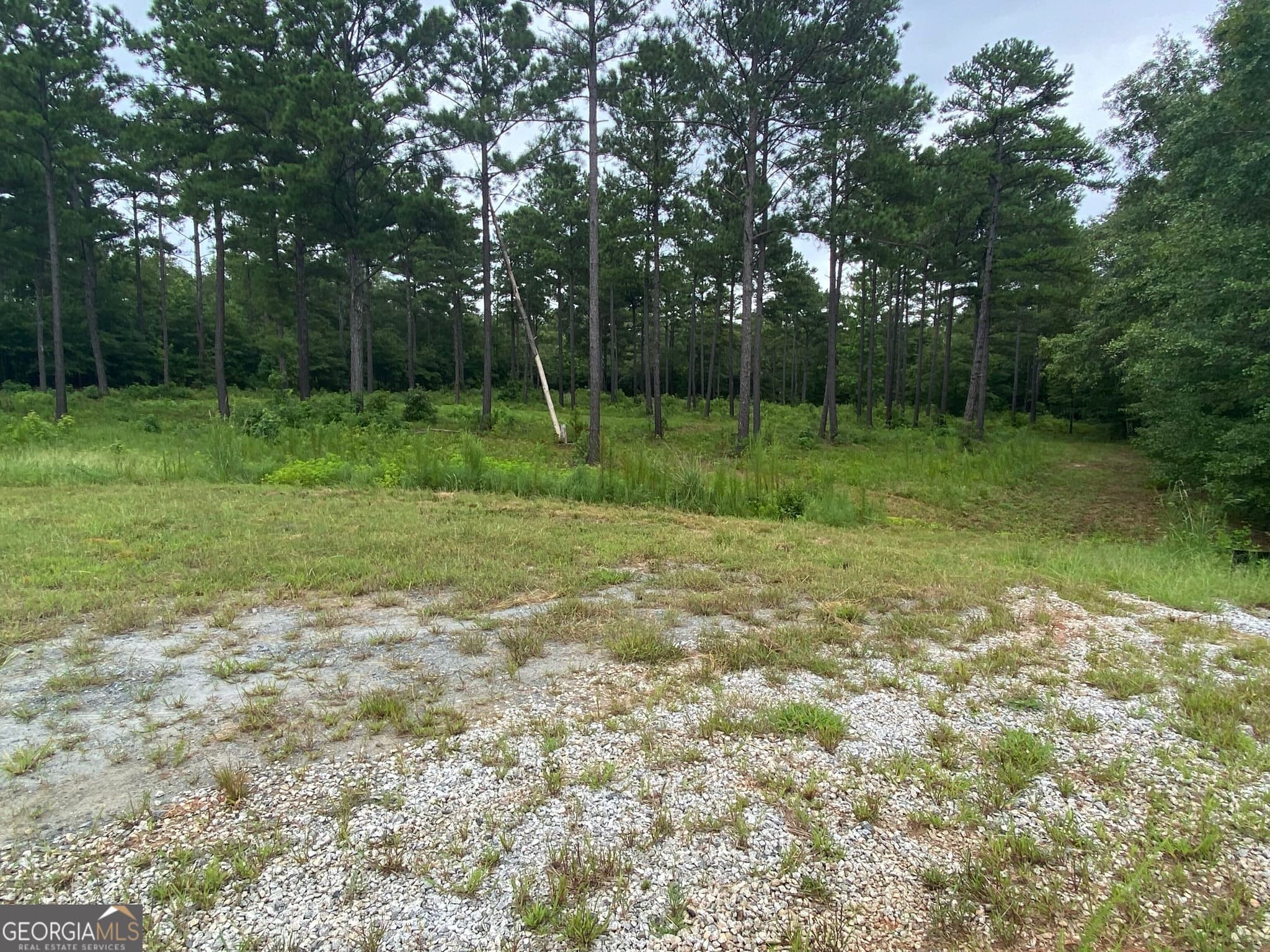 agriculture for sale at 126 Potts Pond Road, Barnesville, GA 30204 — photo 3