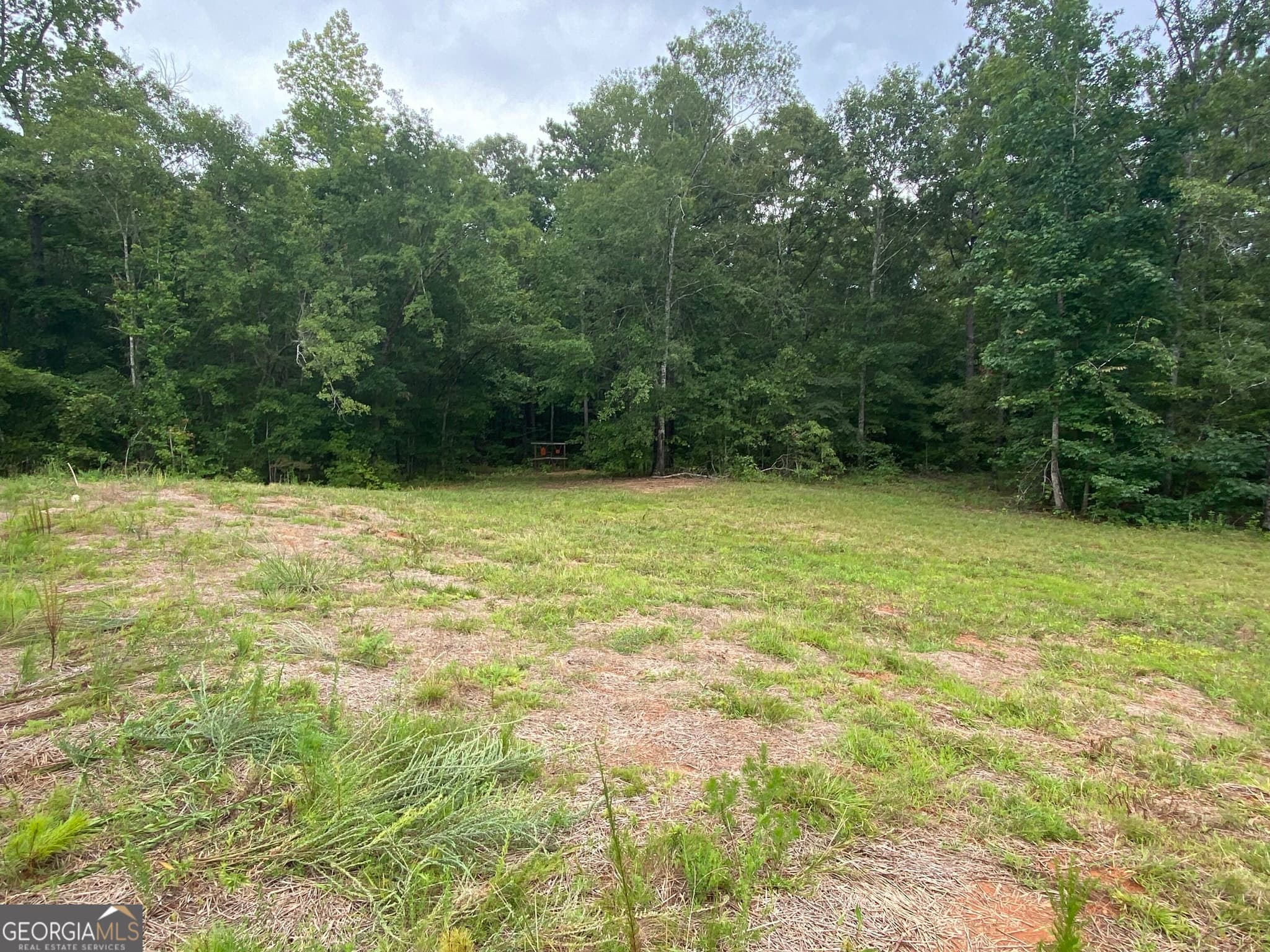 agriculture for sale at 126 Potts Pond Road, Barnesville, GA 30204 — photo 5
