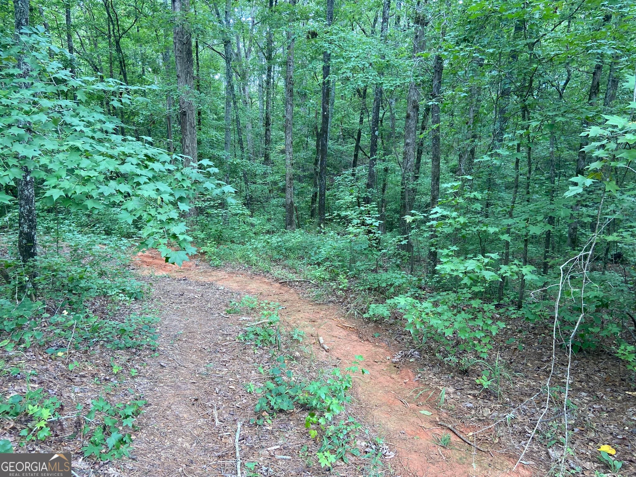 agriculture for sale at 126 Potts Pond Road, Barnesville, GA 30204 — photo 9