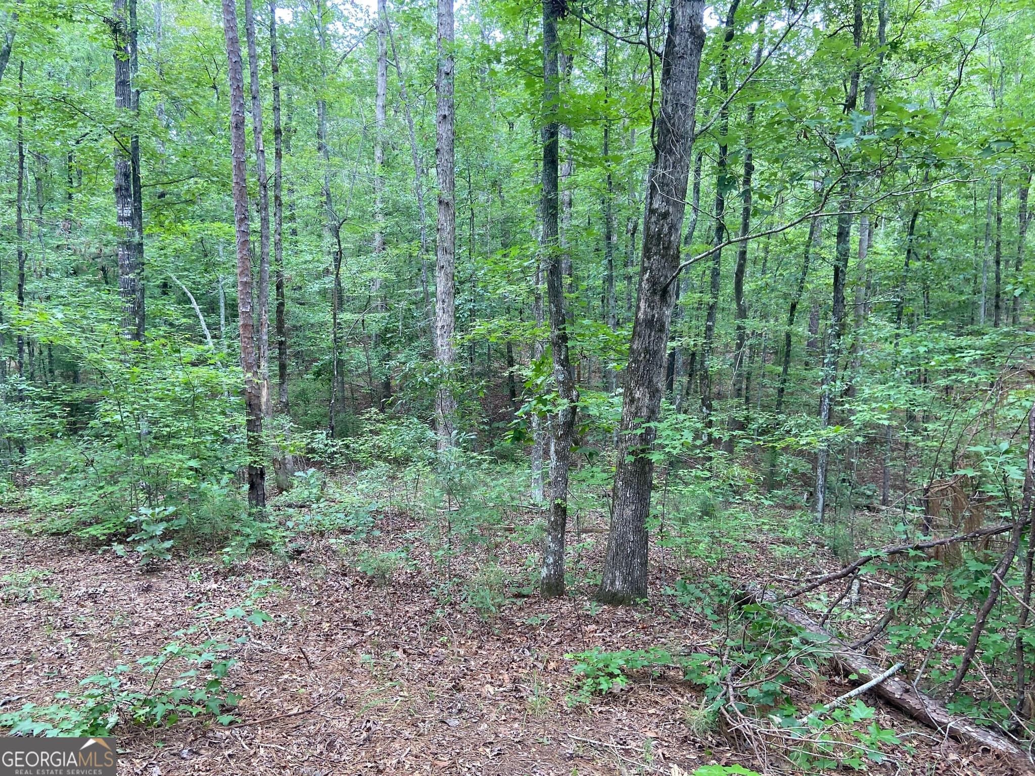 agriculture for sale at 126 Potts Pond Road, Barnesville, GA 30204 — photo 8