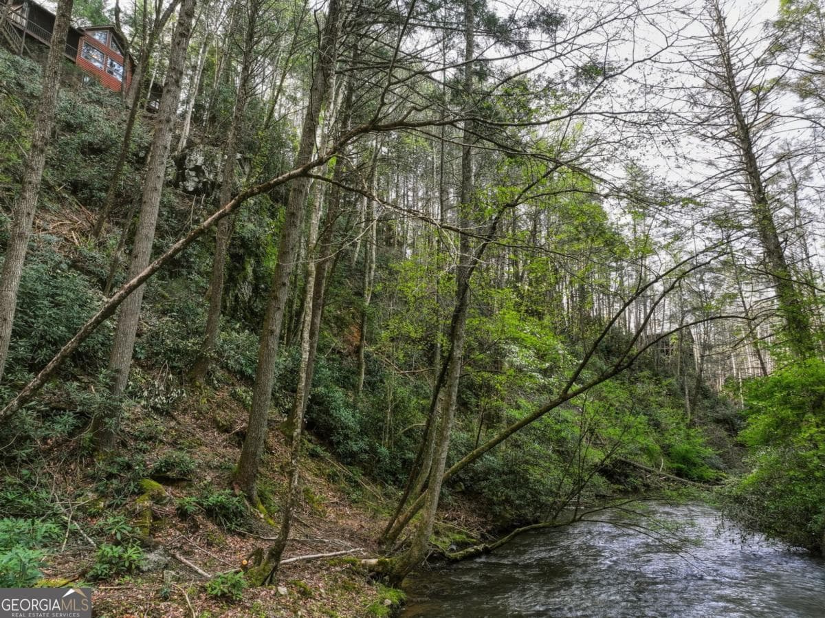 5 bedroom, 3.5 bathroom, 3,538 sq ft cabin,single family residence for sale at 58 River Road, Cherry Log, GA 30522 — photo 7