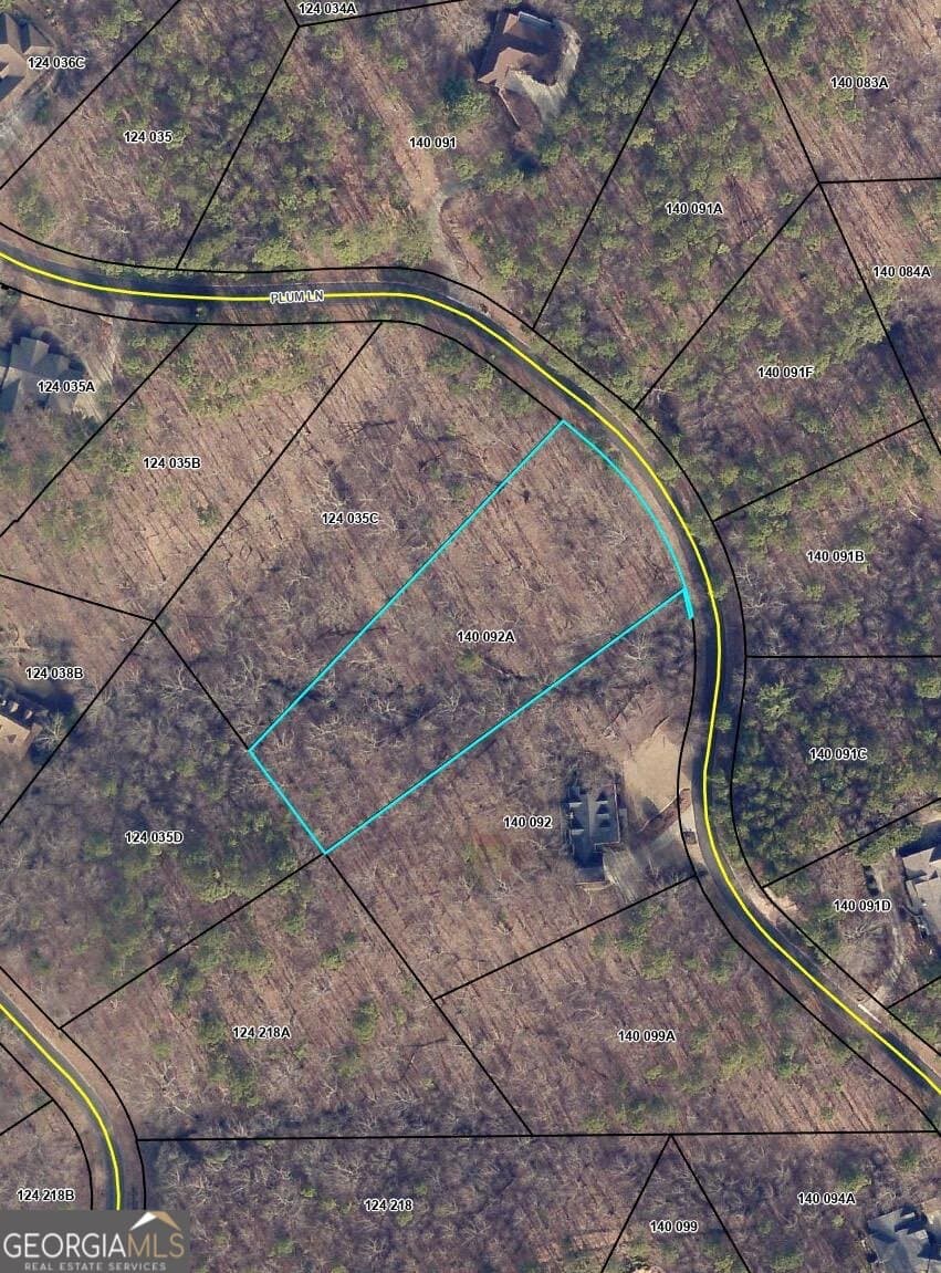 residential lot for sale at 736 Plum Lane, Clarkesville, GA 30523 — photo 1 of 1