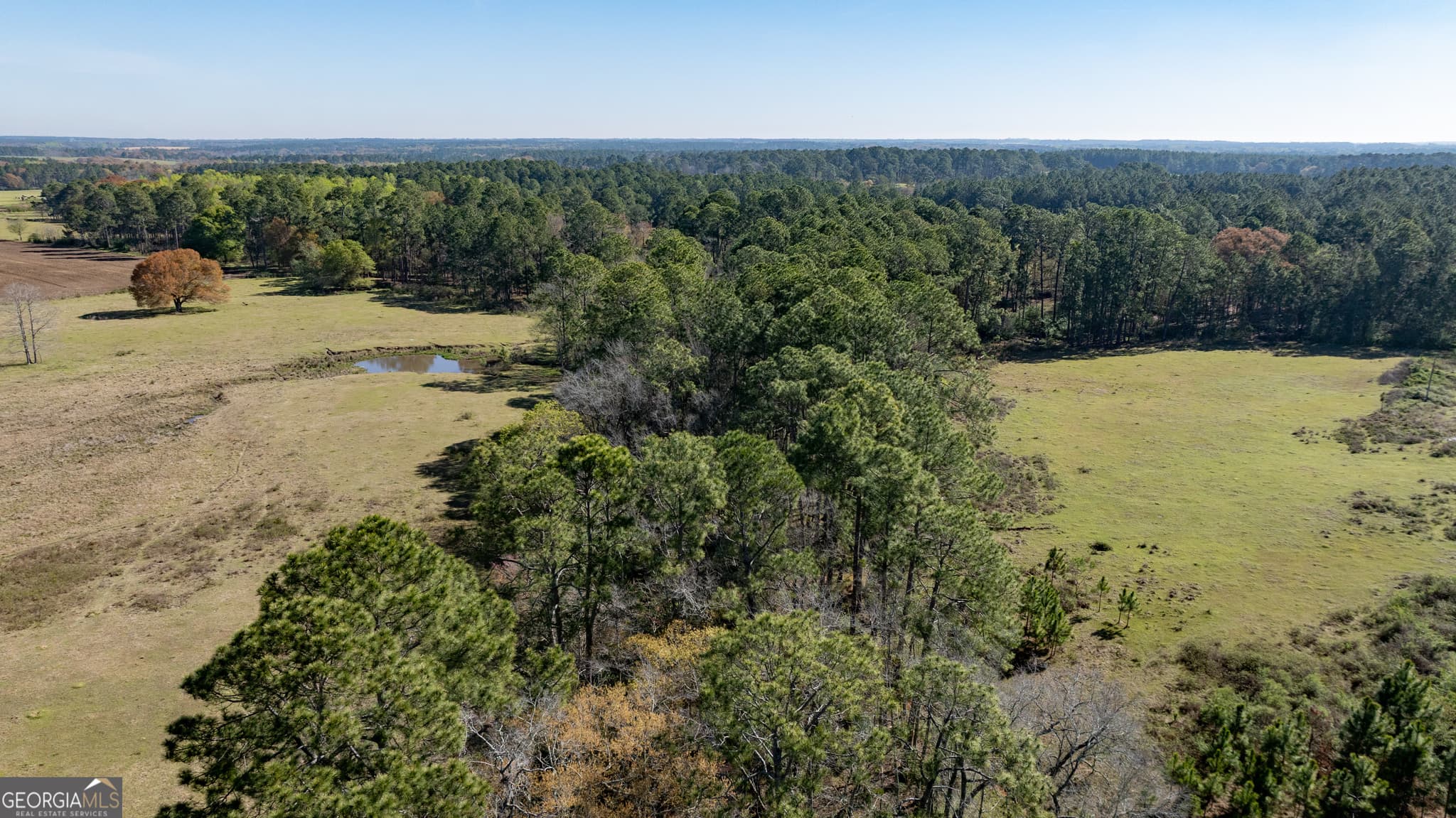 agriculture sold at 0 Lost Road, Arabi, GA 31712