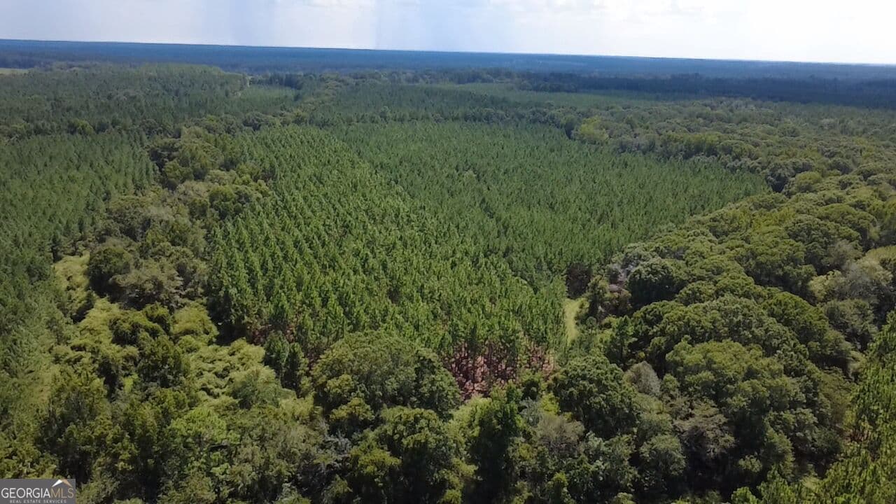 agriculture for sale at 0 Barentine Road, Rochelle, GA 31079 — photo 6